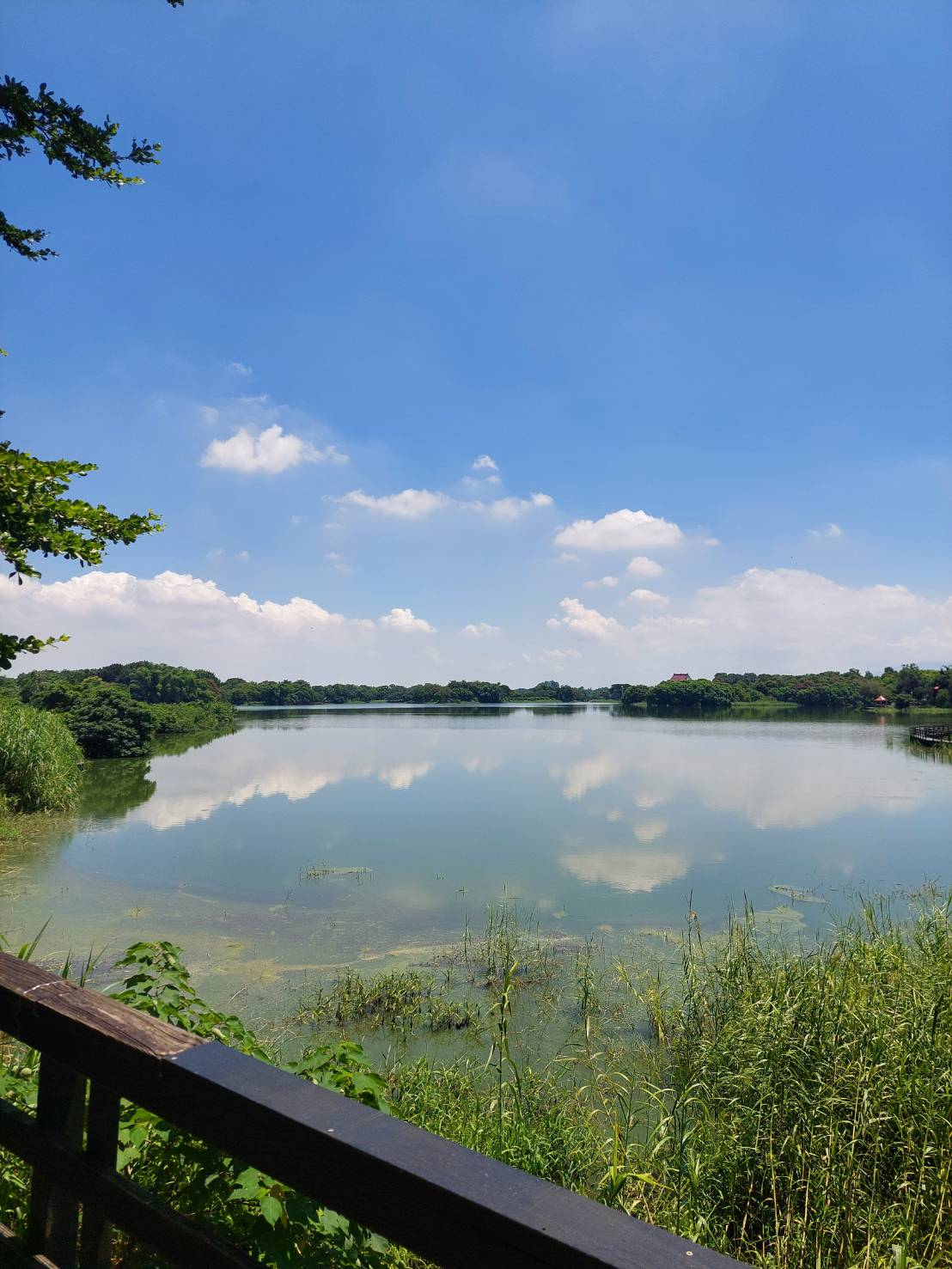 風景