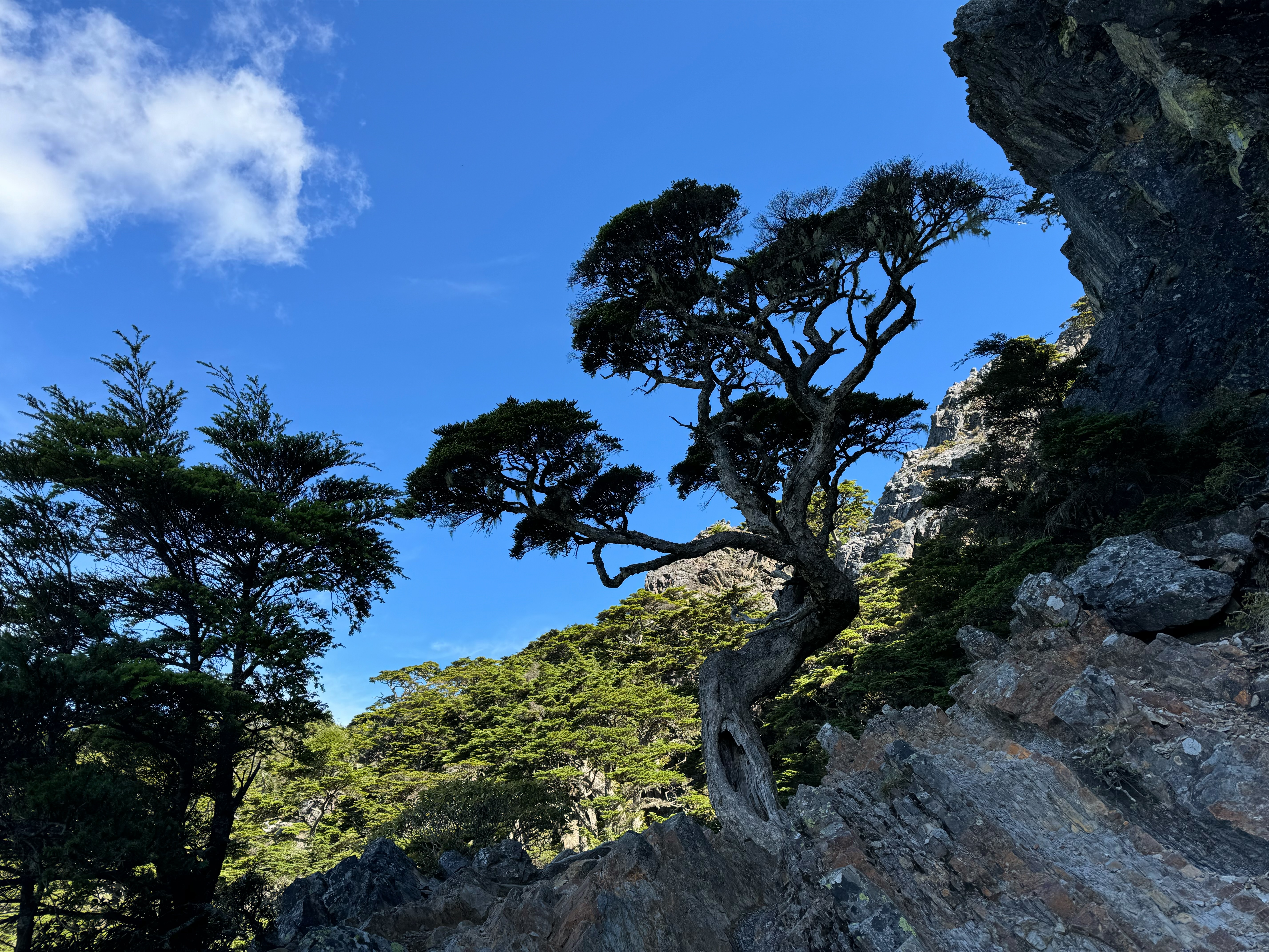 風景