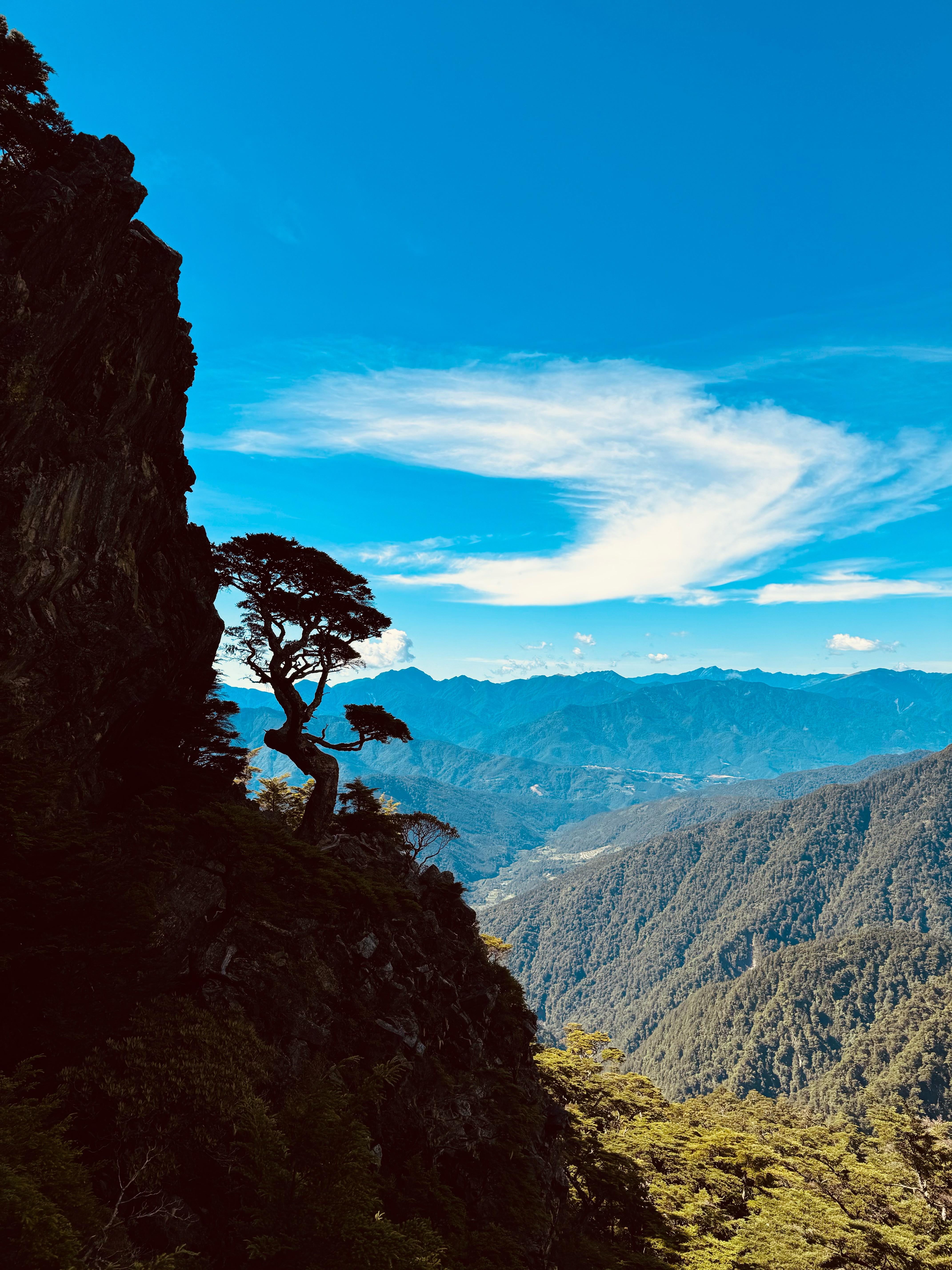 風景