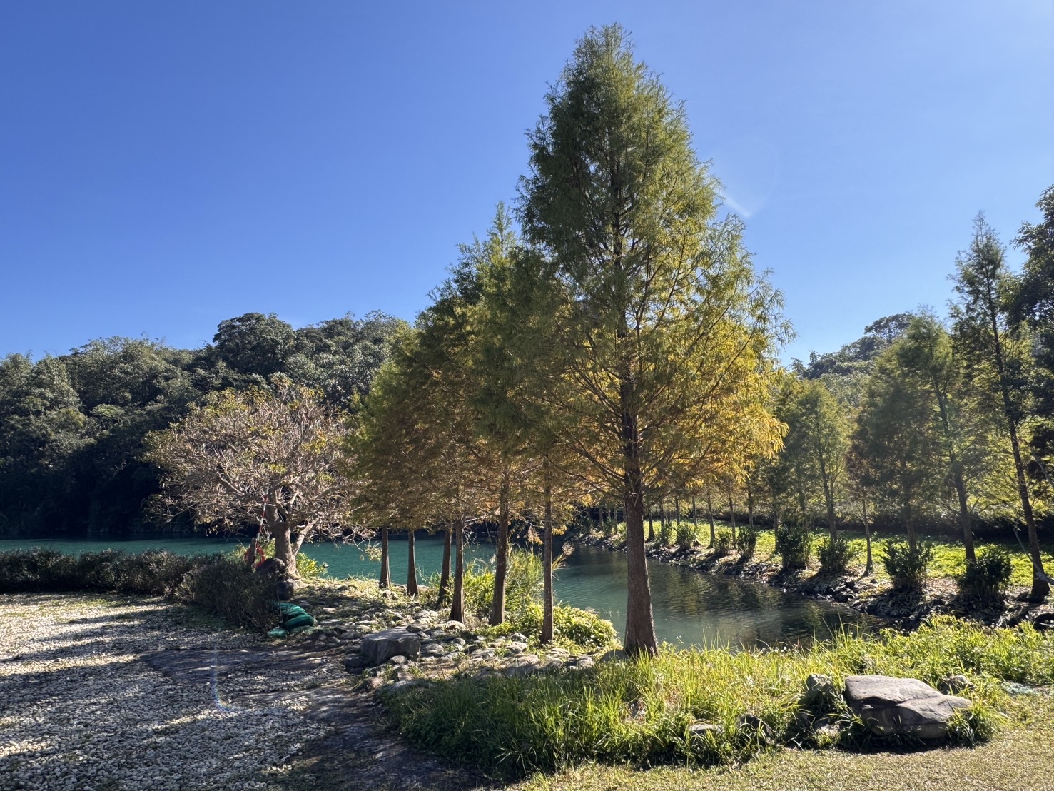 風景